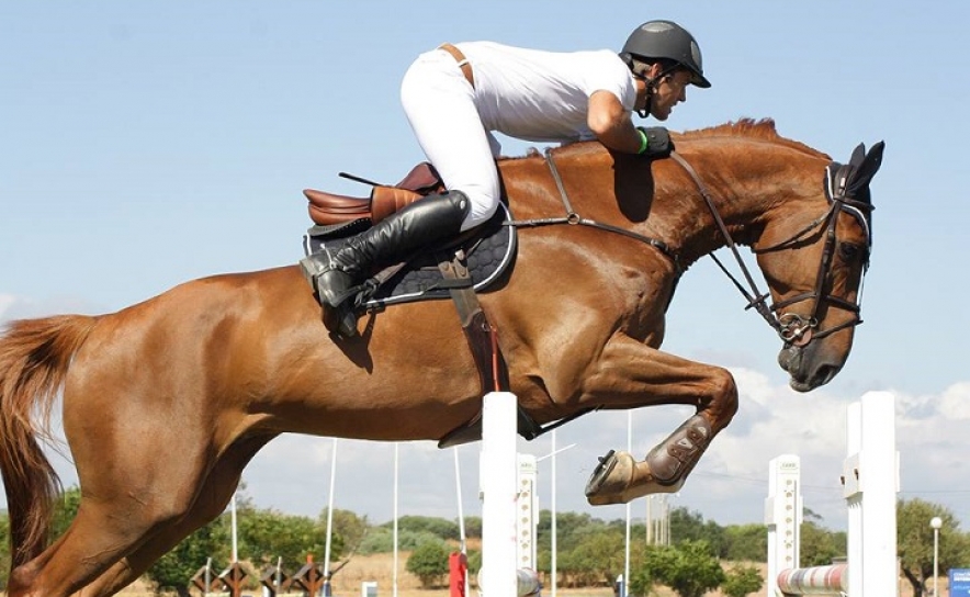 Vilamoura | Spa de água salgada alivia esforço de cavalos em concurso