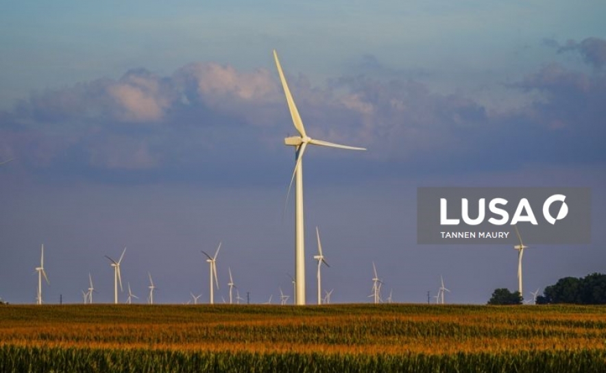 Crescimento das renováveis abranda em 2020 e solar e eólica têm aumento recorde