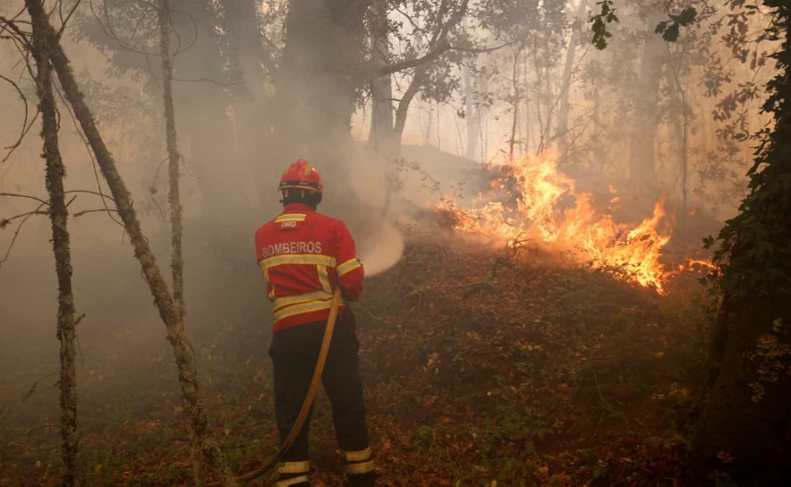 Incêndios: Vinte concelhos de seis distritos em perigo máximo de incêndio