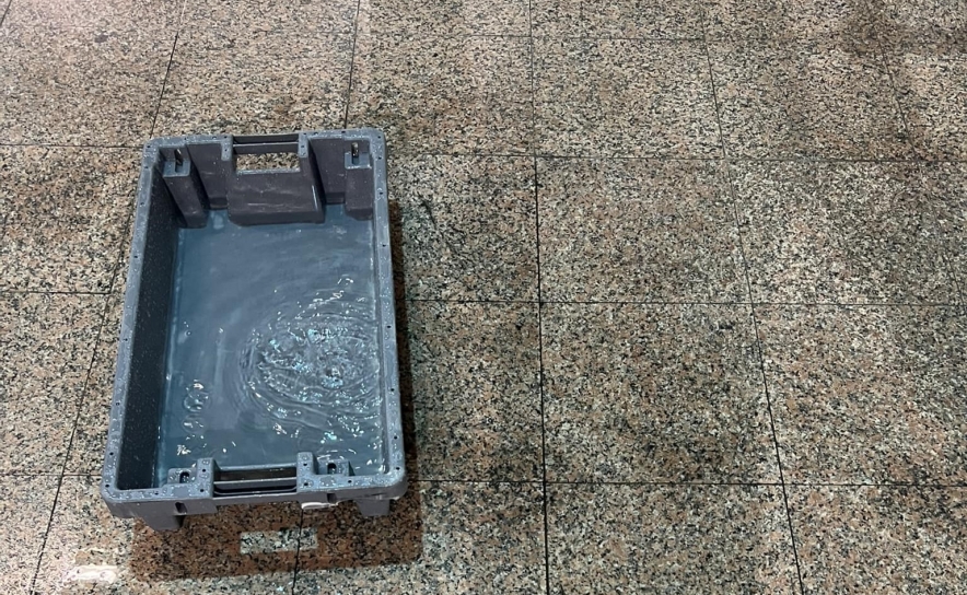 Fotos  coligidas no Facebook de Luís Frederico Rosa