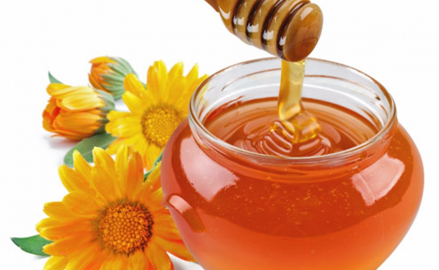 Os Melhores Méis do Algarve | Concurso do Mel do Algarve