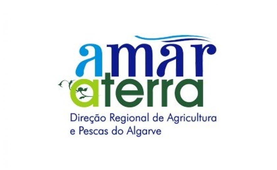 Sessão de Networking - Apresentação do Guia Prático do Empreendedor Agrícola/Caso de sucesso setor agrícola