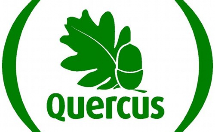 Quercus distingue 425 praias com «Qualidade de Ouro», mais cinco do que em 2024