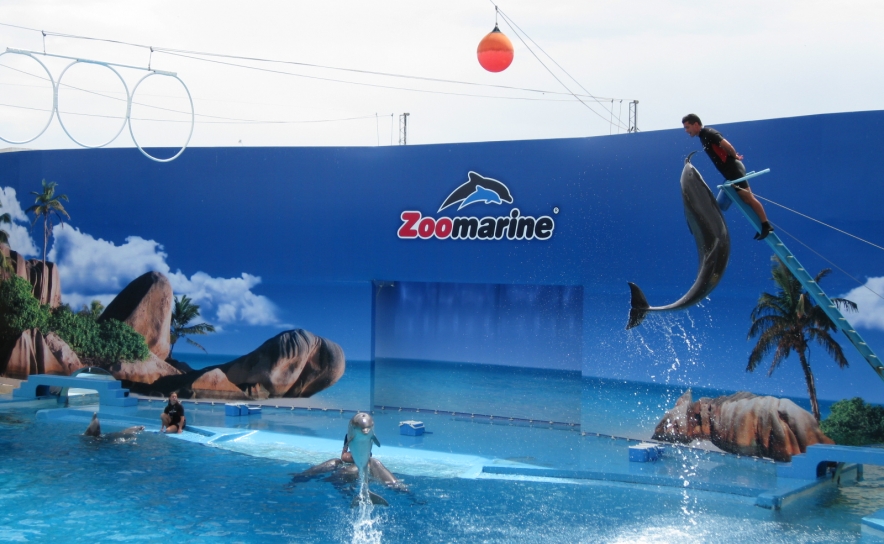 Grande Reabertura Do Parque Temático «Ex-Libris» do Algarve