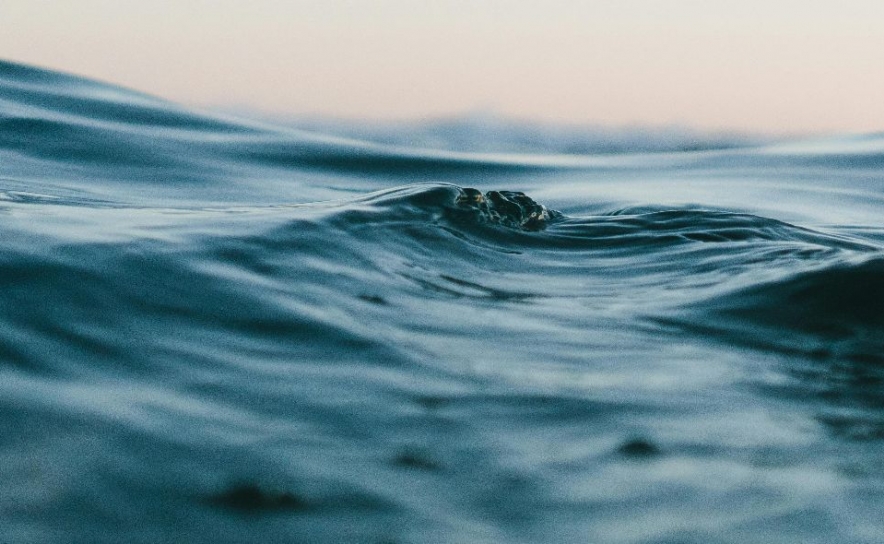 CCMAR e Fórum Oceano assinalam o Dia Nacional da Sustentabilidade