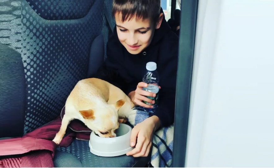 Jovem refugiado e o seu chihuahua