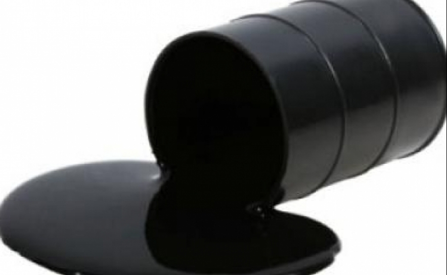 Quercus e Almargem aplaudem desistência de Repsol e Partex de prospeção