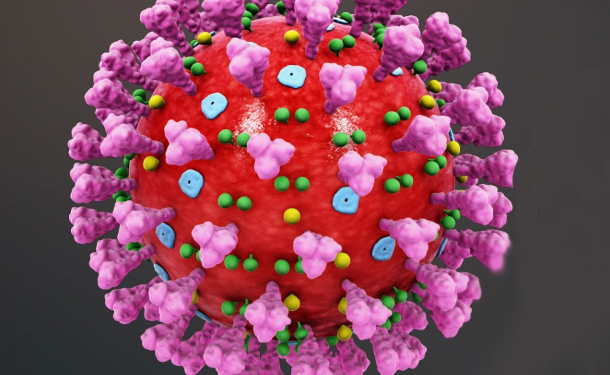 Covid-19: Algarve regista hoje mais 73 novos casos