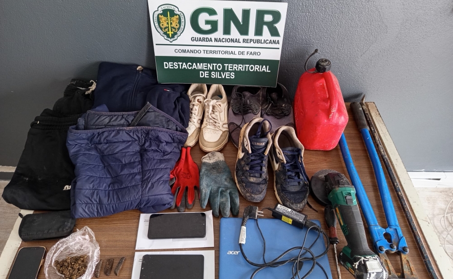 Silves – Prisão preventiva por furtos