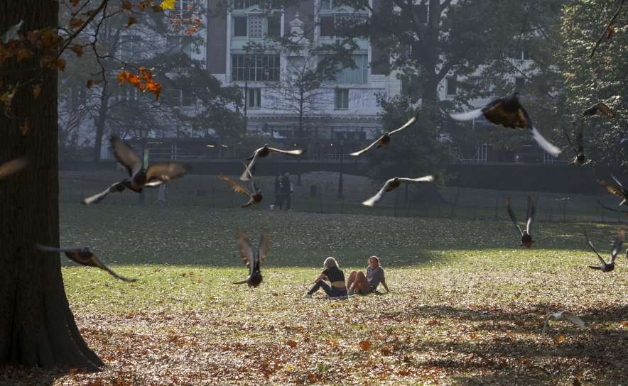 Projetos musicais algarvios atuam no Central Park em Nova Iorque