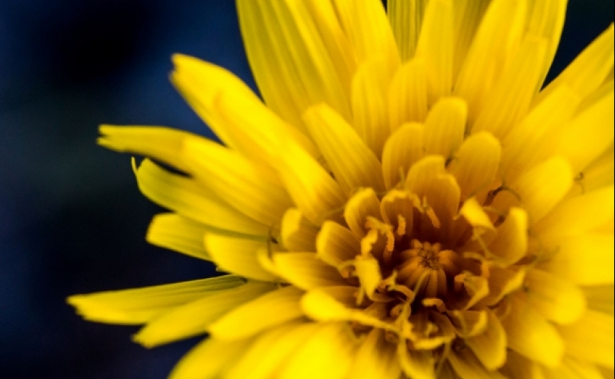 Teatro de luz - Luis Damas