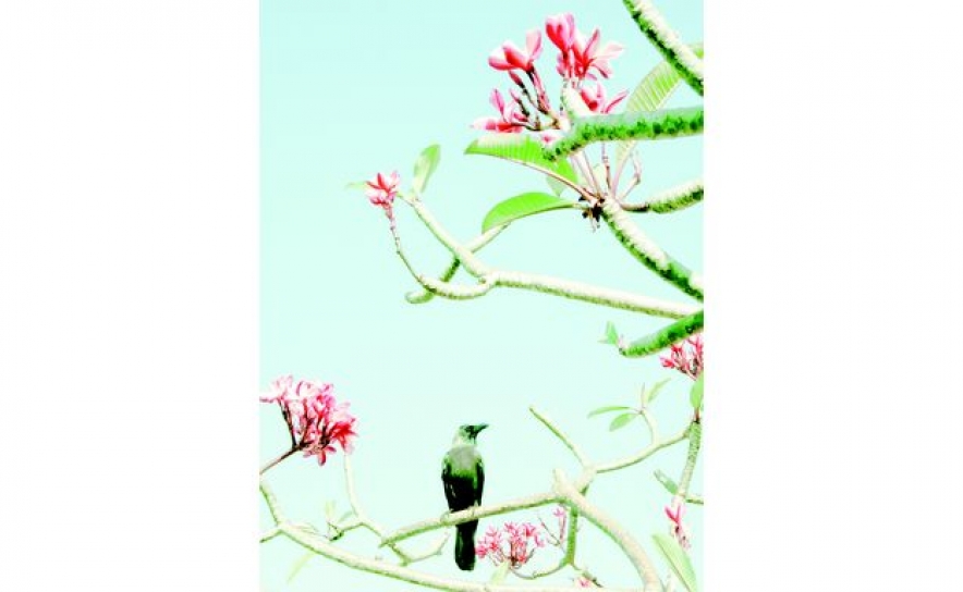 Exposição BELOW THE SURFACE, PHILIPP KEEL