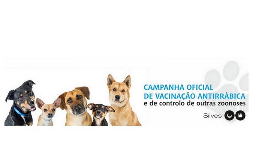 CAMPANHA OFICIAL DE VACINAÇÃO ANTIRRÁBICA 2024 ARRANCA, NAS FREGUESIAS DO CONCELHO, NO DIA 20 DE MAIO CAMPANHA OFICIAL DE VACINAÇÃO ANTIRRÁBICA 2024 ARRANCA, NAS FREGUESIAS DO CONCELHO, NO DIA 20 DE MAIO