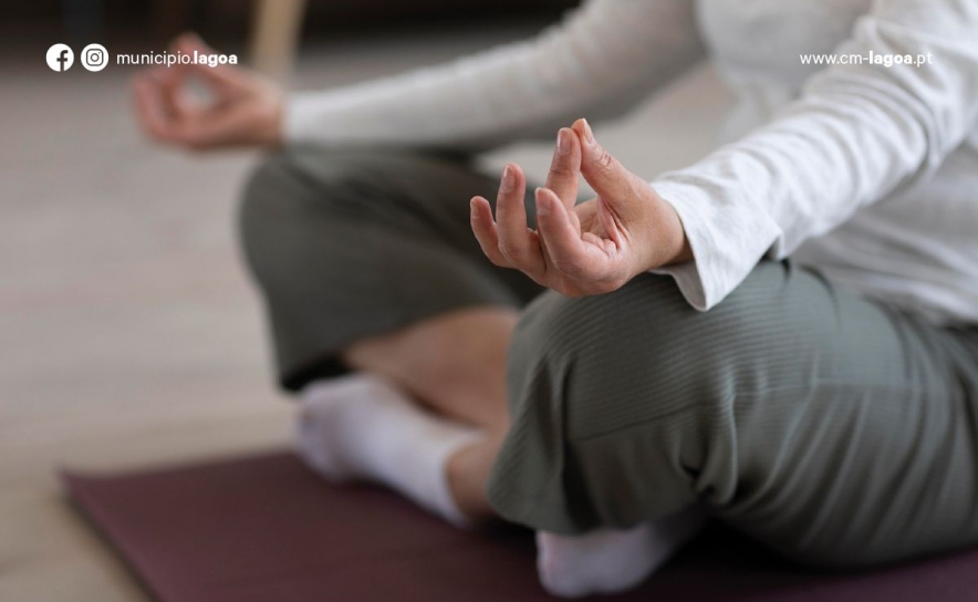 Mergulho na Meditação - Princípios e Técnicas de Meditação para Adultos 