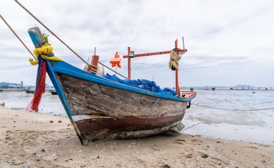 Armadores algarvios queixam-se de falta de formação para pescadores e de mão-de-obra