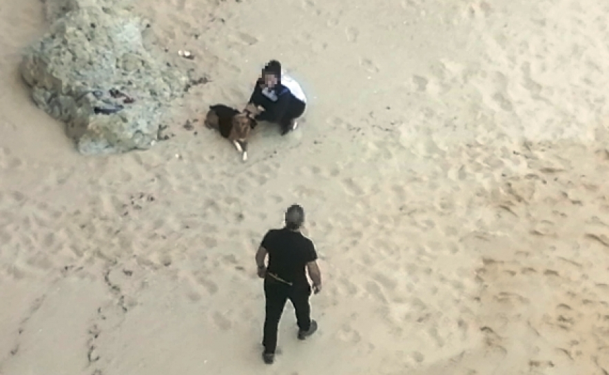 Autoridade Marítima Nacional auxilia cadela que sofreu uma queda numa arriba em Lagoa
