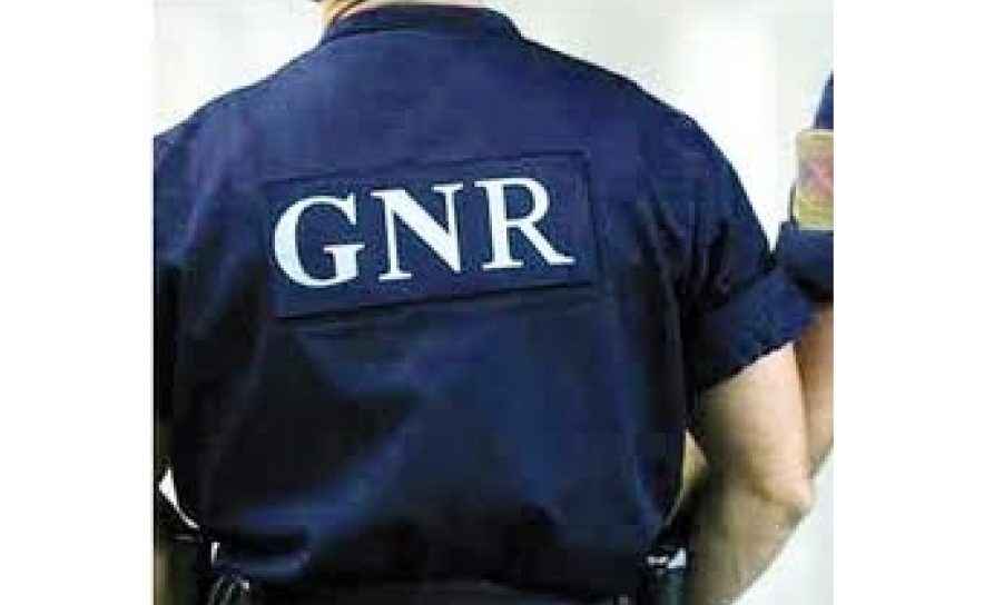 Três empresas ilegais e 26 infrações em operação de controlo de circulação de bens - GNR