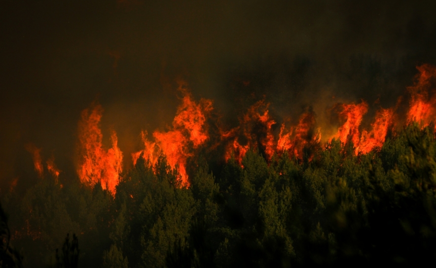 Incêndios: Cerca de 40 concelhos do interior Norte e Centro e Algarve em risco muito elevado