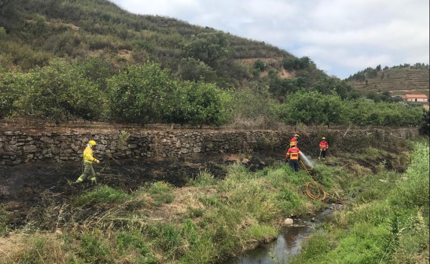 Meios pré-posicionados na Senhora do Verde resolvem incêndio na zona do Moinho da Rocha em 20 minutos