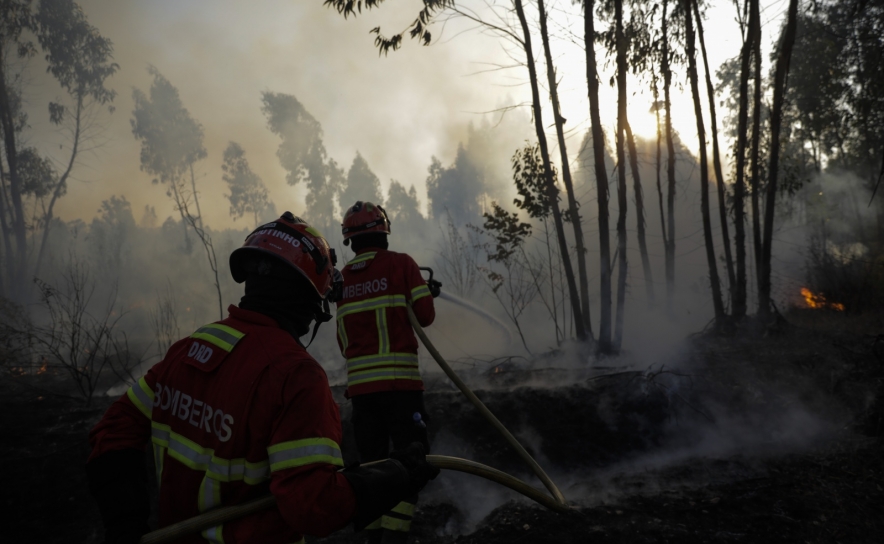 Incêndios: Fogo de Odemira em fase de resolução - Proteção Civil 