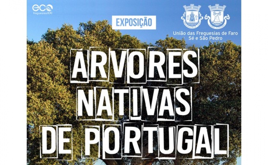 EXPOSIÇÃO DAS ÁRVORES NATIVAS DE PORTUGAL PODE SER VISITADA NA BAIXA DE FARO
