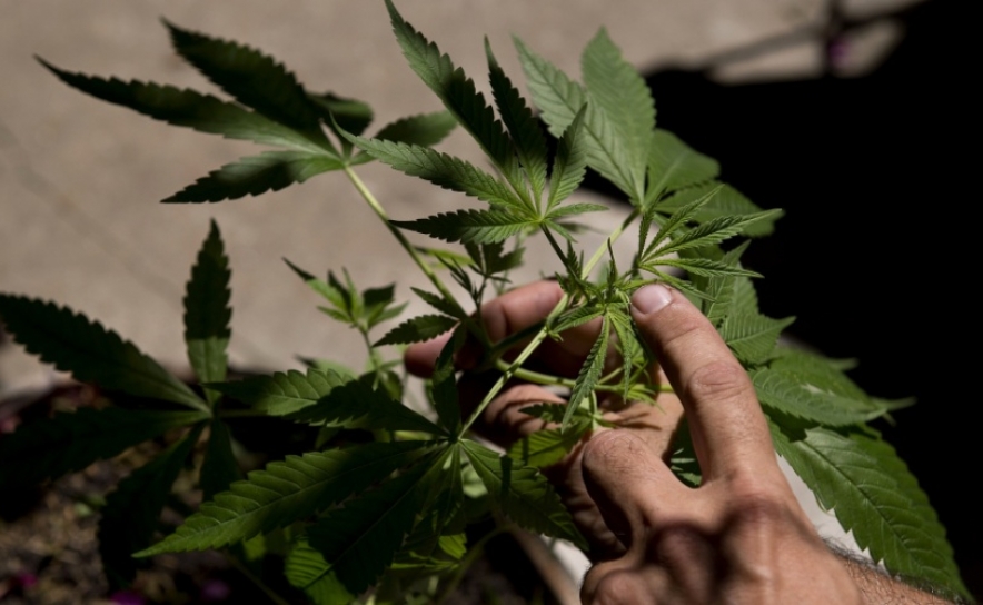 PJ detém homem por tráfico de droga