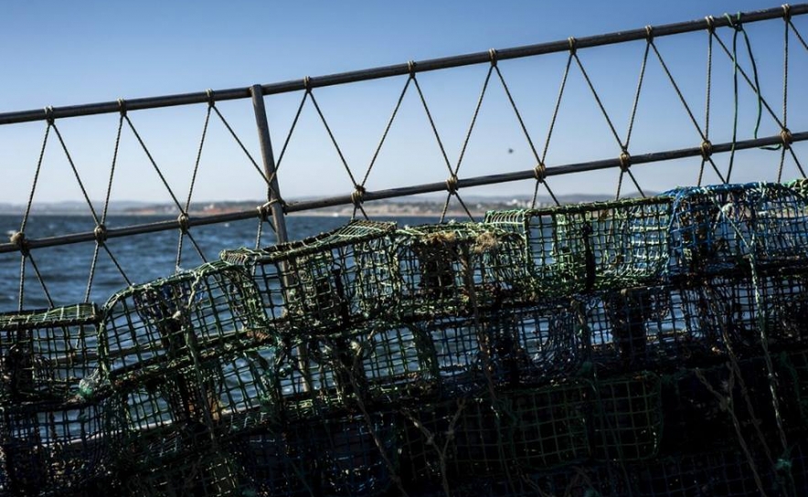Falta de isco prejudica pescadores de polvo e há barcos em terra