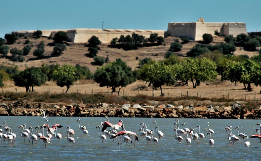 14 de abril: Dia Aberto da Reserva Natural do Sapal de Castro Marim e Vila Real de Santo António