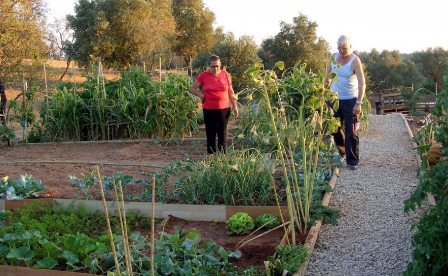 Candidaturas para talhões das Hortas Sociais de Loulé