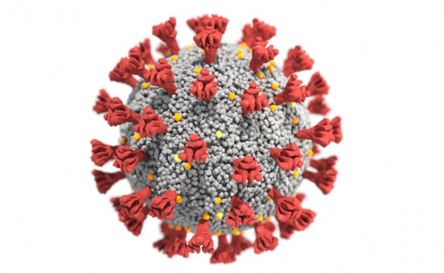 Covid-19: Algarve hoje com 643 novos casos e 4 vítimas mortais