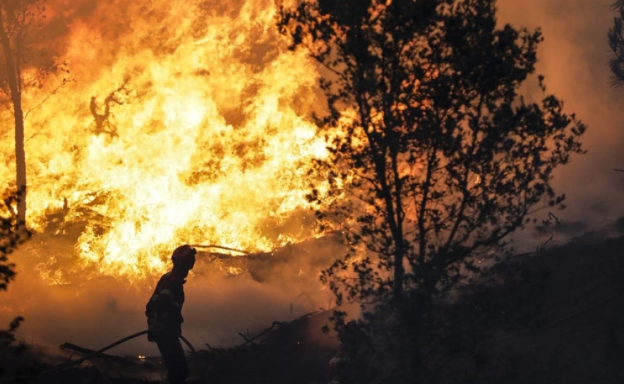 Incêndios: Cerca de 40 concelhos no interior Norte e Centro e do Algarve em risco máximo
