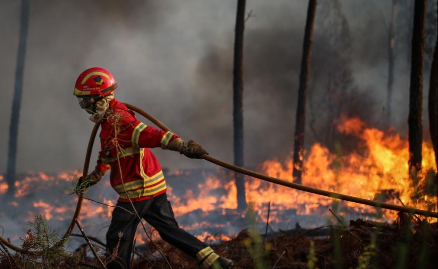 Incêndios: Risco máximo em 80 concelhos do interior Norte e Centro e Norte Alentejo