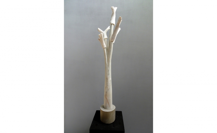 EXPOSIÇÃO “ÁRVORE 3 OLHARES” DE HENRIQUE SILVA, ANTÓNIO TRAVASSOS E ANA OLIVEIRA