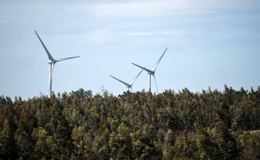 Produção renovável abastece 59% do consumo de eletricidade em 2021	