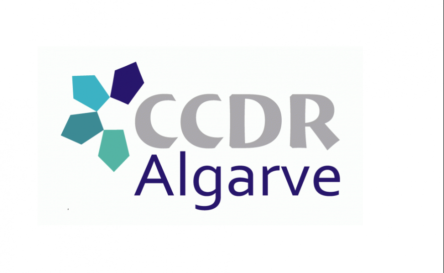 CONSELHO REGIONAL DA CCDR ALGARVE PARTICIPA NA CONSULTA PÚBLICA DO PLANO FERROVIÁRIO NACIONAL