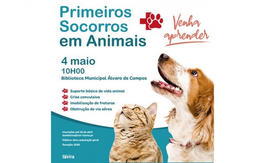 Tavira promove a aprendizagem de primeiros socorros em animais de companhia