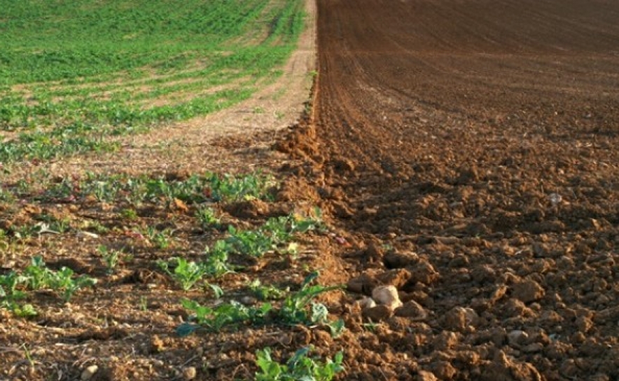 BOLSA DE TERRAS – APROVADO DIPLOMA PARA IDENTIFICAR TERRAS AGRÍCOLAS SEM DONO