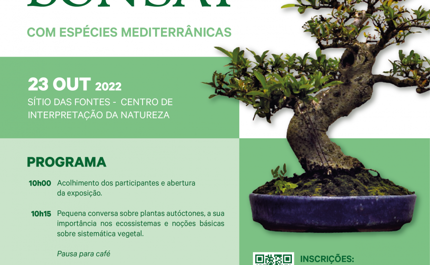 Município de Lagoa | Oficina sobre técnicas Bonsai com espécies mediterrânicas