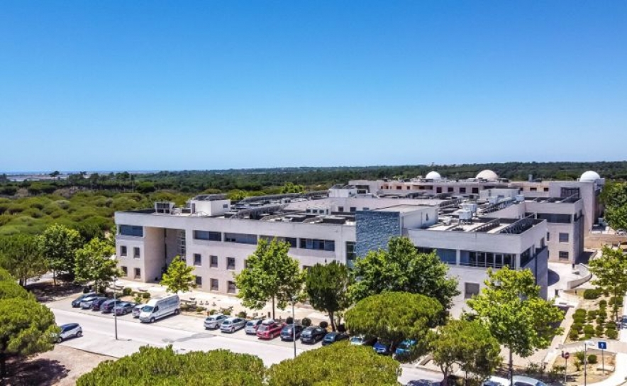 «Encontro Nacional de Estudantes de Sociologia 2024» realiza-se em Faro