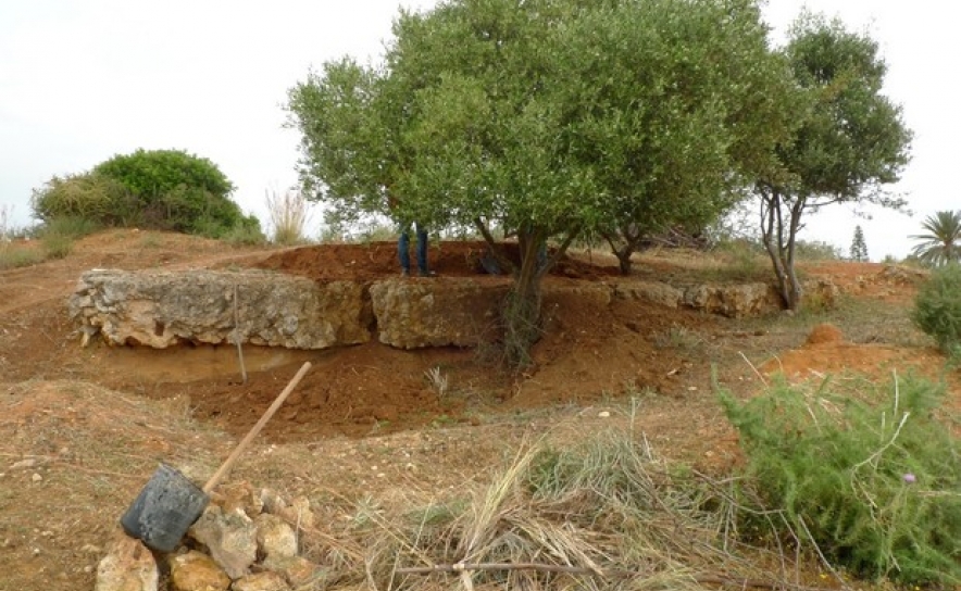 Assinatura do protocolo de colaboração sobre a Cidade Romana da Balsa