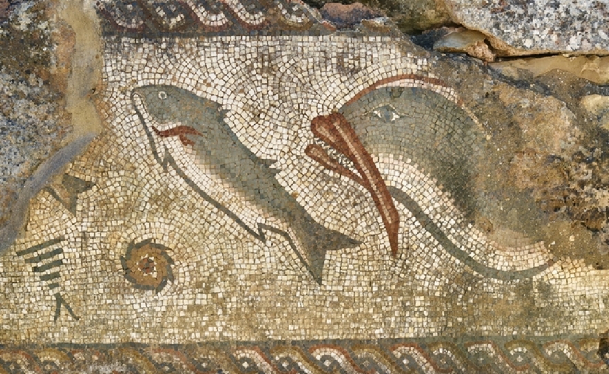 CICLO CLÁSSICOS EM MILREU