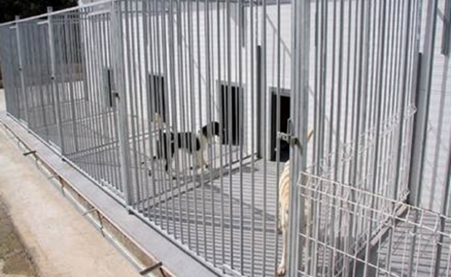 ALGARVE RECEBE APOIO PARA MELHORAR BEM-ESTAR ANIMAL EM SEIS MUNICÍPIOS