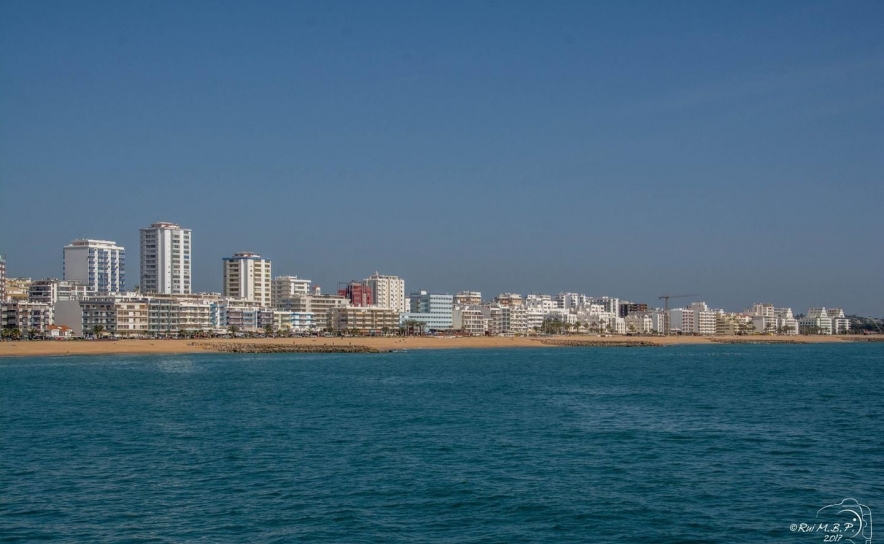 AHETA: Ocupação hoteleira no Algarve em julho abaixo de 2019 e de 2022