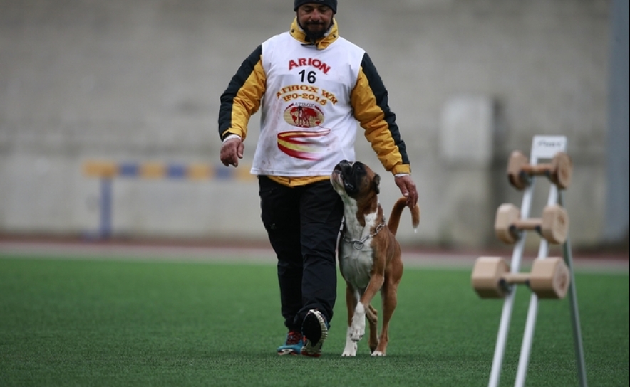 João Paulino e Echo von der Konigswiese - Vencedor IPO1 no Campeonato do Mundo