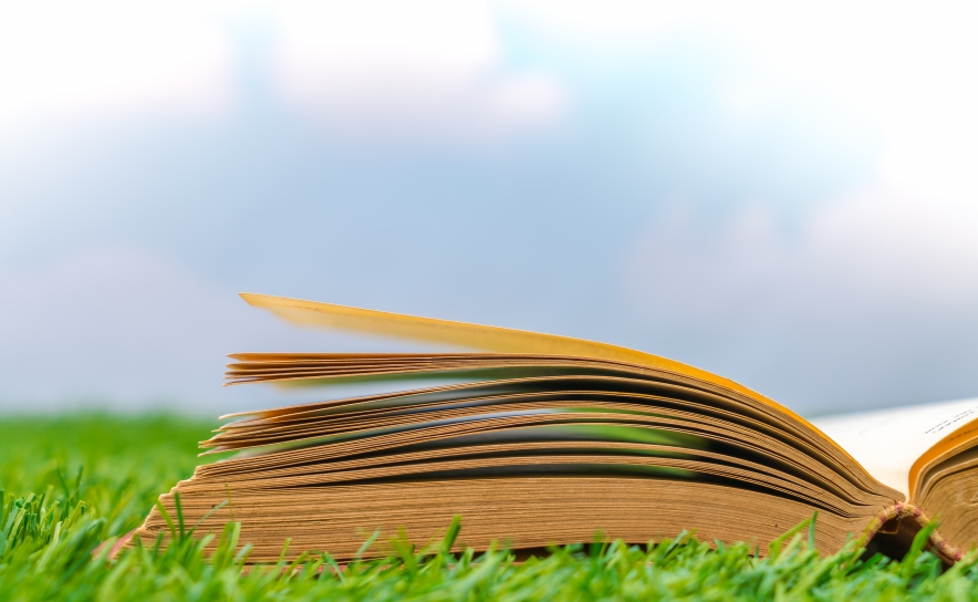 PRÉMIO MEDRONHEIRO SELVAGEM 2026: ECOLOGIA É TEMA DE GALARDÃO LITERÁRIO