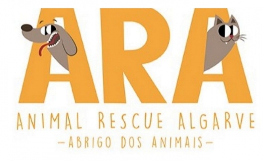 Loulé: a Animal Rescue Algarve tem um crowdfunding original para ajudar os animais