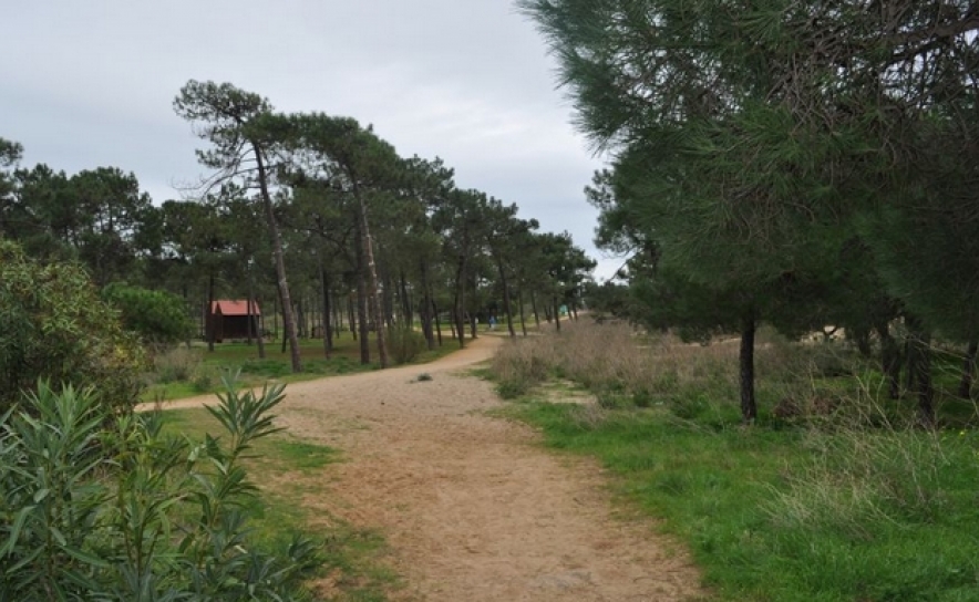 Instalados painéis informativos em área piloto de projeto europeu no Algarve