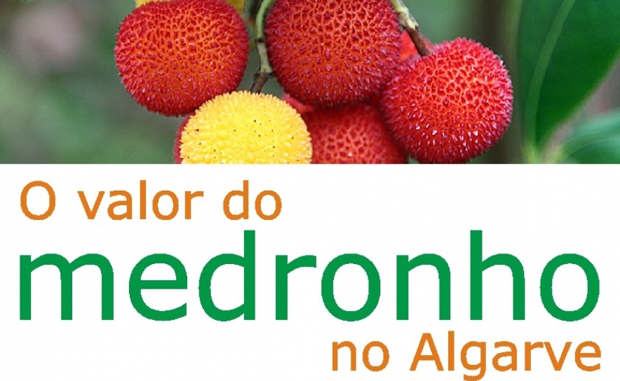 Workshop sobre o valor do medronho no Algarve em Alte