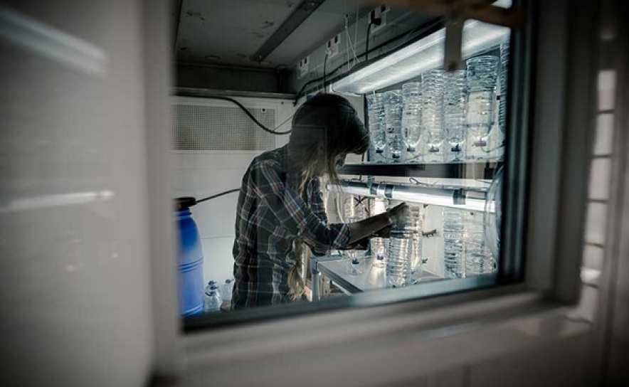 NATIONAL GEOGRAPHIC DESTACA TRABALHO DE INVESTIGADOR DA UALG