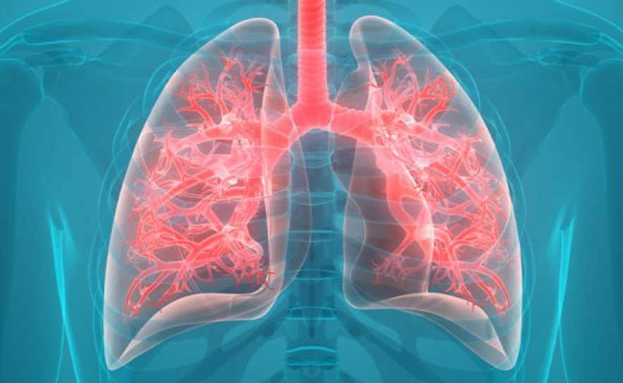 GSK investe no combate às alterações climáticas pela proteção da saúde respiratória